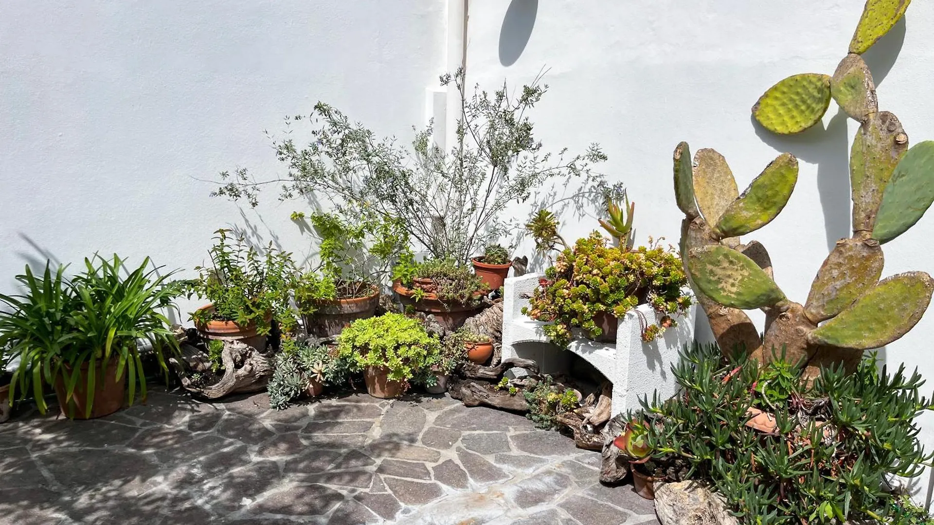 Villa Villetta Stile Liberty A Marina di Pisa Olaszország
